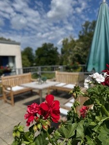 Neubepflanzung Dachterrasse 2